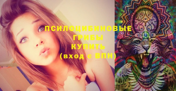 a pvp Вязьма