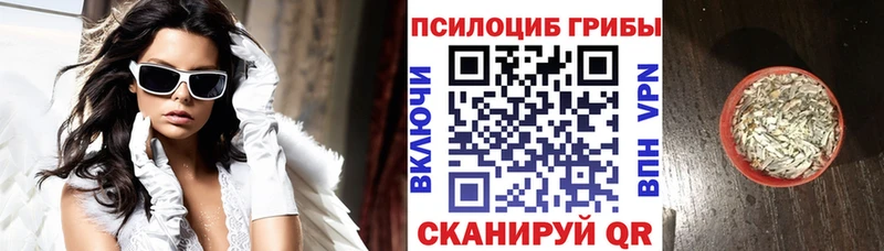 Галлюциногенные грибы Cubensis  hydra   Вязники 