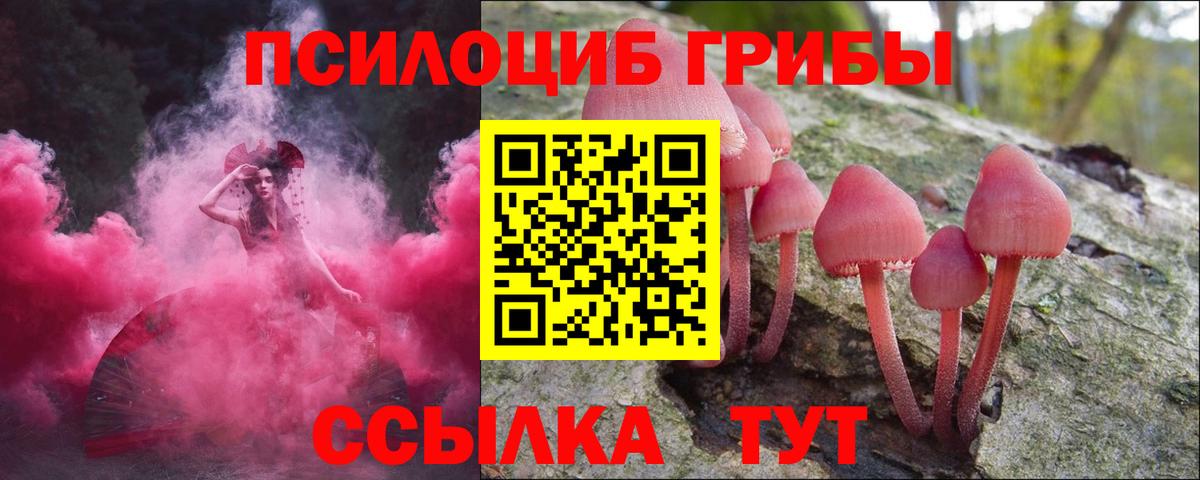 Псилоцибиновые грибы ЛСД  Вязники 